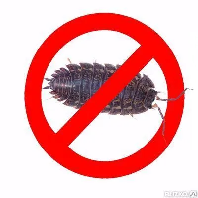 Фото №0 Уничтожение обработка от мокриц