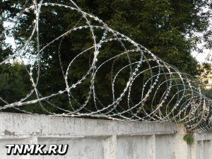 фото Проволока колючая 500 - 40 - 3