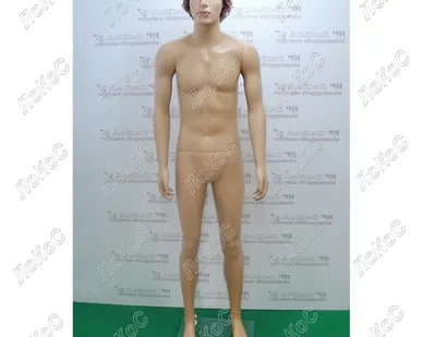 фото Манекен мужской пластиковый 190, 92-80-95см, парик, волосы короткие, русый