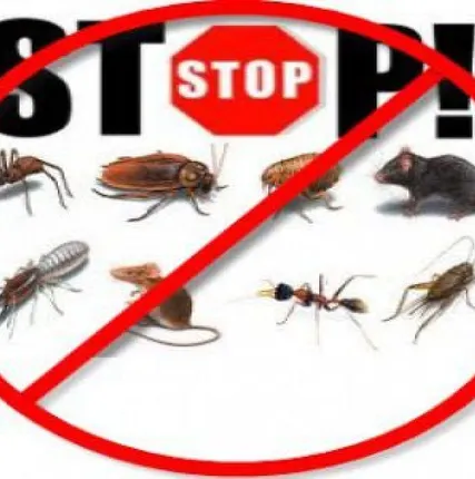 Фото №0 Уничтожение обработка от постельных клопов