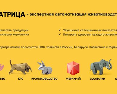 фото Программы для автоматизации учёта в животноводстве