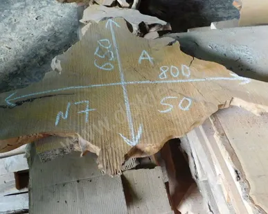 фото Спил корня № 7 карагач 50Х650Х800