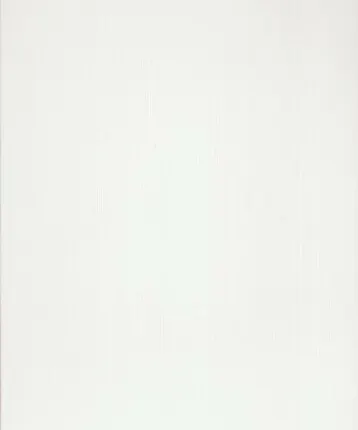 Фото №0 Плитка облицовочная Белая люкс 200х300