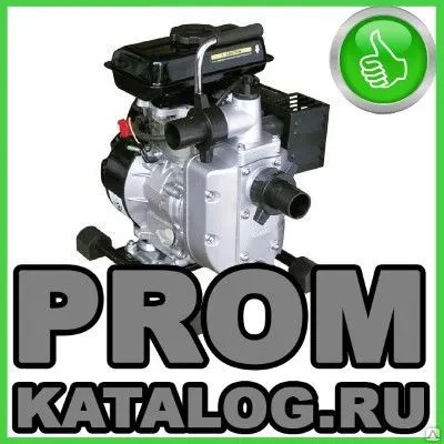 Фото №0 Мотопомпы Nocchi