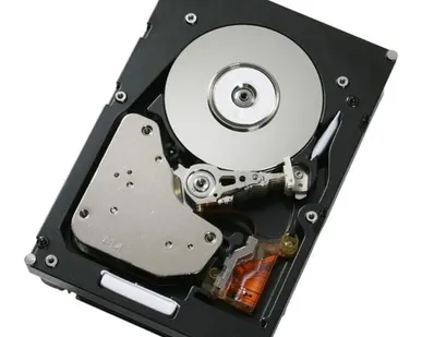 фото Жесткий диск IBM 59Y5338