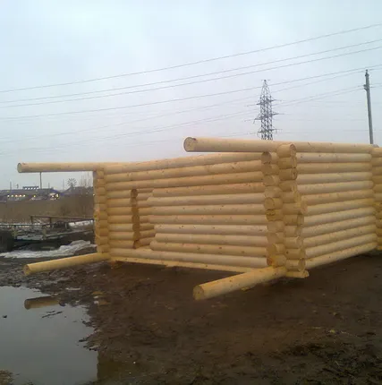 Фото №0 Бревна оцилиндрованные