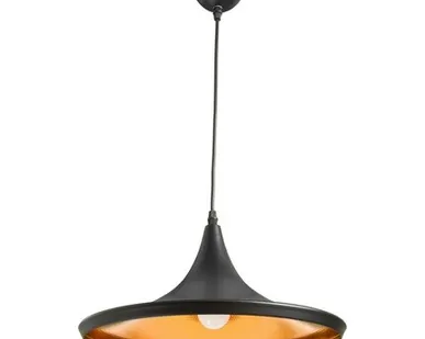фото Подвесной светильник Arte Lamp CAPPELLO A3406SP-1BK
