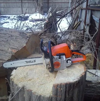 Фото №0 Спиливание деревьев