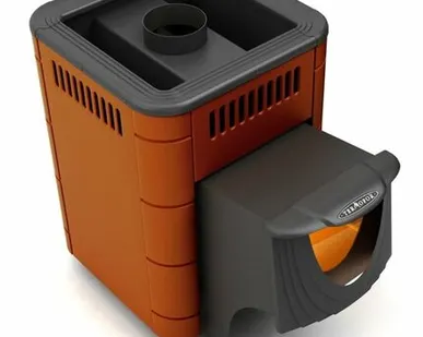 фото Печи для бани Оса Carbon