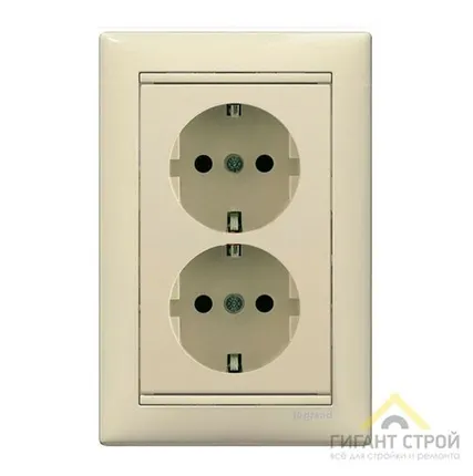 Фото №0 Розетка 2-м СП Valena с зазем. сл.кость Leg 774370