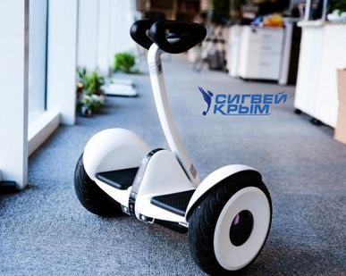 фото Сигвей Xiaomi Ninebot Mini