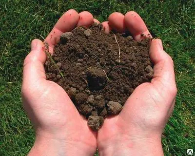 Фото №0 Разработка грунта вручную