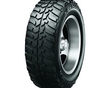 фото Автомобильная шина Dunlop