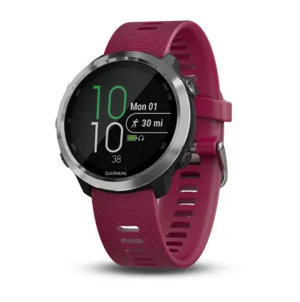 Фото №0 Часы Garmin Forerunner 645 Music с вишневым ремешком