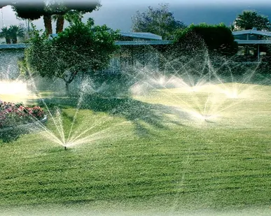 фото Скосить покосить траву