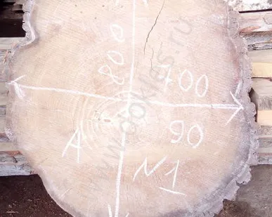 фото Спил карагача №1 90х700х800