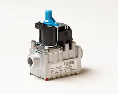 фото Газовый клапан EBR-2008N Daesung