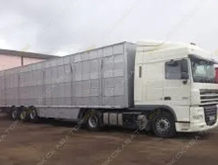 Фото №0 Аренда полуприцепа-скотовоза Michieletto SM38C, Воронеж