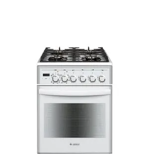 фото Газоэлектрическая плита GEFEST 5502-03 0042