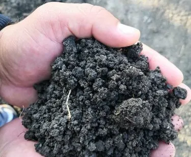 фото Чернозем