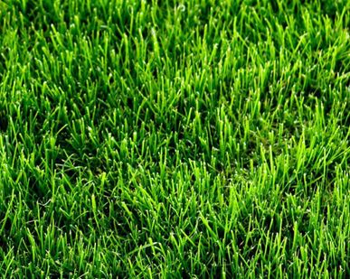 фото Искусственная трава High Grass 2м, Condor