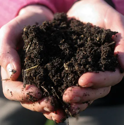 Фото №0 Земля плодородная с доставкой в Мшинской