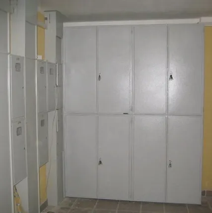 Фото №0 Шкаф на лестничную площадку Сосновый бор