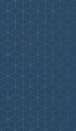 Фото №0 Вставка Mono Jasmine geometry sky 30х60