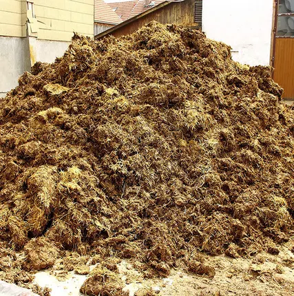 Фото №0 Доставка навоза