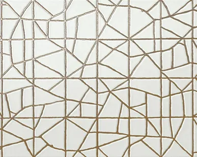 фото Atlas Concorde ARKSHADE Arkshade White Trace 40x80 (8ATW) Керамическая плитка