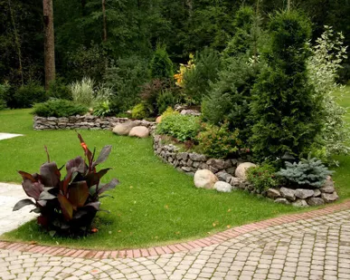 фото Озеленение территорий