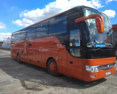 фото Трансфер на автобусе 45+
