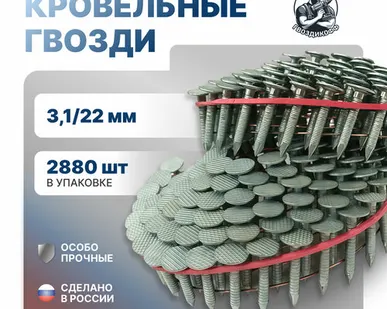 фото Гвозди кровельные с кольцевой накаткой CRN 3.1/22 мм Ri CNK 2880 шт.