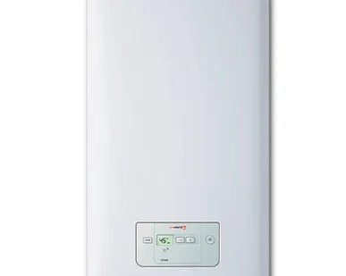фото Настенные газовые котлы Protherm Гепард