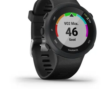 фото Часы Garmin Forerunner 45S черные