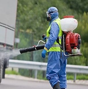фото Как бороться с тлей? Эффективное уничтожение насекомых