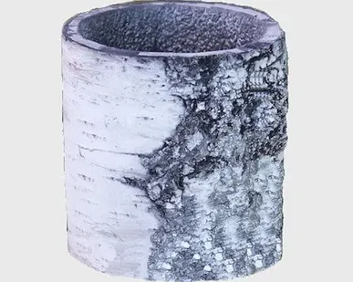 фото Цветочница Берёза средняя