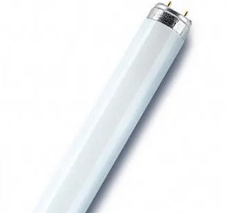 фото Люминесцентная лампа OSRAM L 36Вт 765 G13 6500K Смоленск/Германия