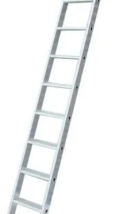 фото Лестница АЛ 1х14