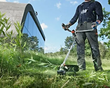 фото Аренда триммера