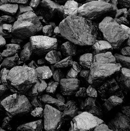 Фото №0 Уголь (отборный / кедровский) с доставкой 1 мешок