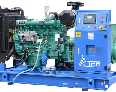 фото Дизельный генератор ТСС АД-70С-Т400-1РМ11