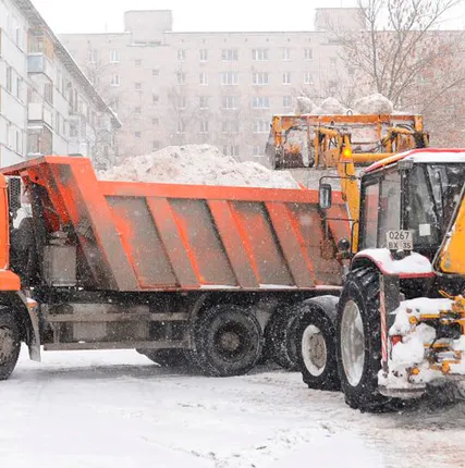 Фото №0 Вывоз снега и мусора