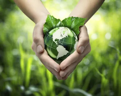 фото Проведение экологических изысканий