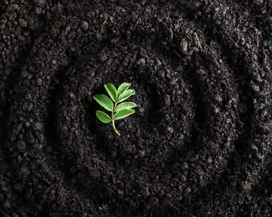 фото Торфогрунт в мешках по 60 литров