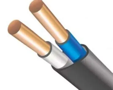 фото Кабель ВВГ-Пнг(А)-LS 2х2.5 ок (N) 0.66кВ (м) ПромЭл 11854190