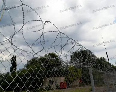 фото Заграждение колюче-ленточное объемное "Гавиал" 900/5-2,5