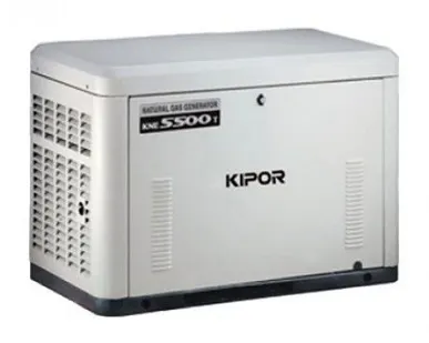 фото Газовый генератор Kipor KNE5500Т