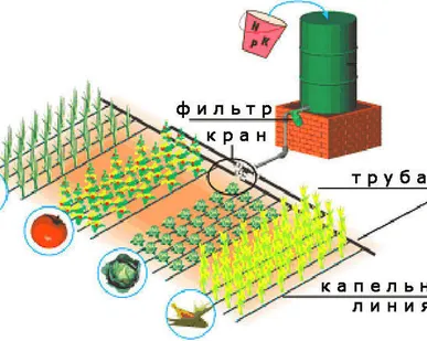 фото Капельный полив для теплиц