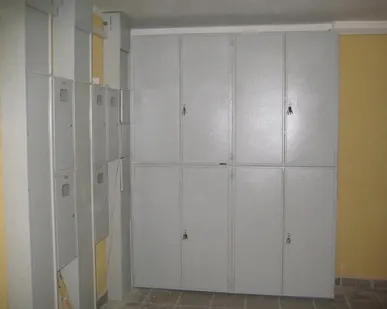 фото Шкаф на лестничную площадку Сосновый бор